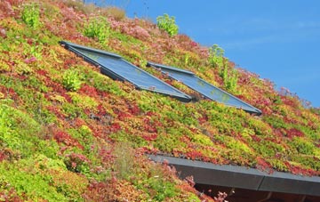 Ravenshall living roof systems